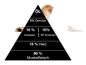 Katzen barfen Pyramide